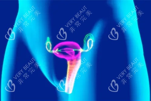 女性私处