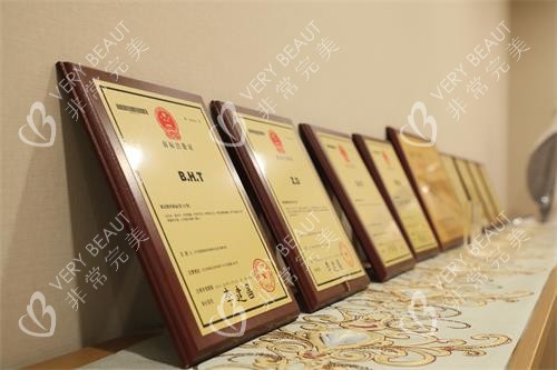 北京碧莲盛植发荣誉证书