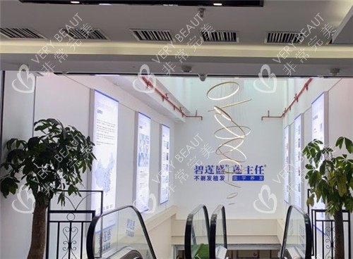 福州碧蓮盛植發(fā)logo墻