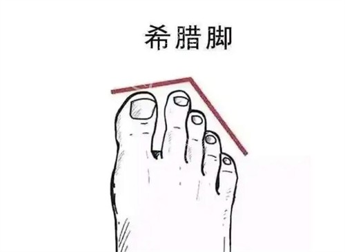 二脚趾长照片展示图