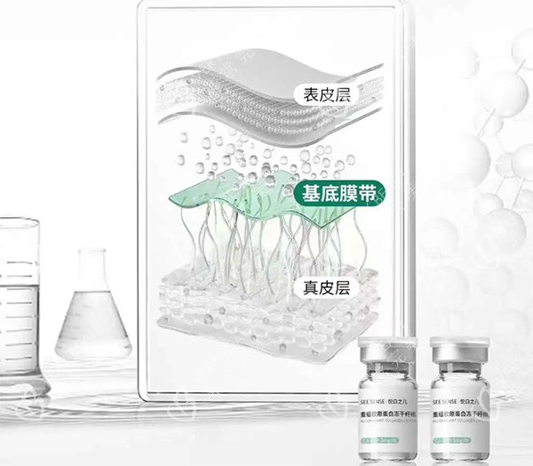 悅白之幾膠原蛋白層級示意圖