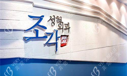 韓國雕刻整形醫(yī)院logo圖