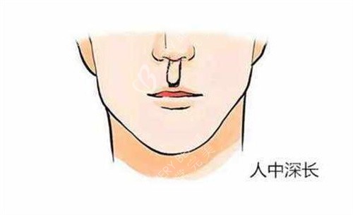 人中過長卡通圖展示