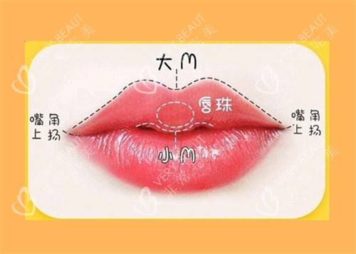 M唇的样子