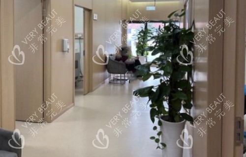 成都美容整形医院走廊示意图
