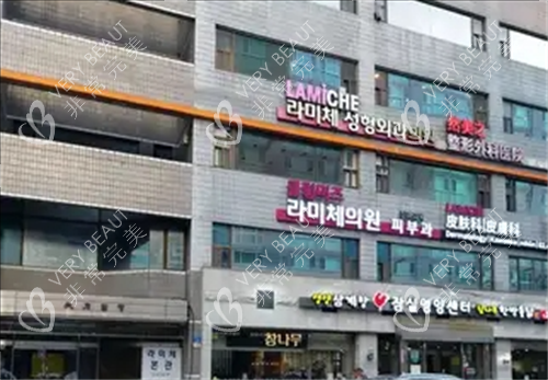 lamiche皮肤科大楼外观图