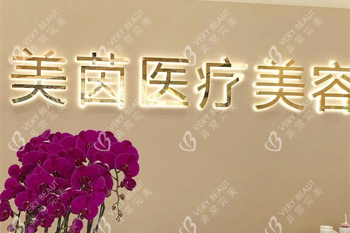 成都美茵医疗美容logo墙