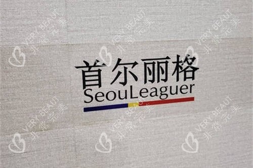 上海首尔 丽格医疗美容医院品牌图