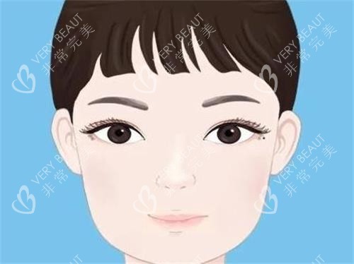 纹眼线示意图
