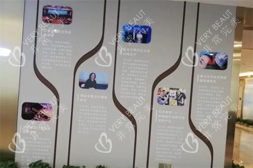 北京碧莲盛植发发展史