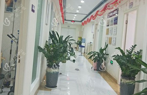 金华丽都整形走廊环境图