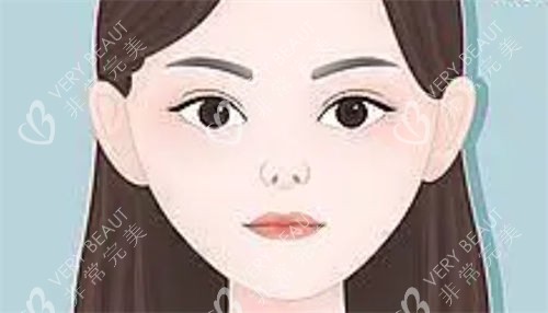 朝天鼻正面动画展示图
