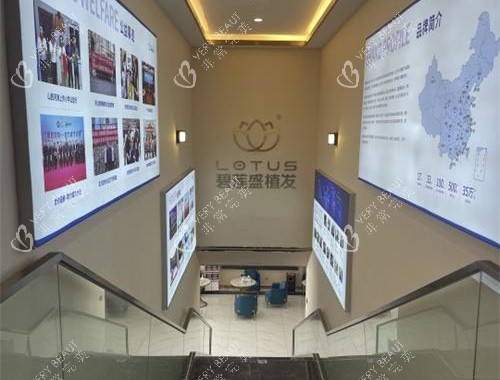 呼和浩特碧莲盛植发二楼楼梯环境