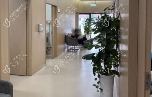 成都美容整形医院走廊示意图