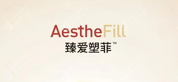 臻爱塑菲怎么样