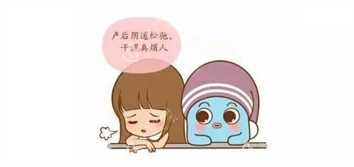 产后阴道松弛怎么办动画图