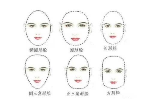 各种脸型卡通展示图