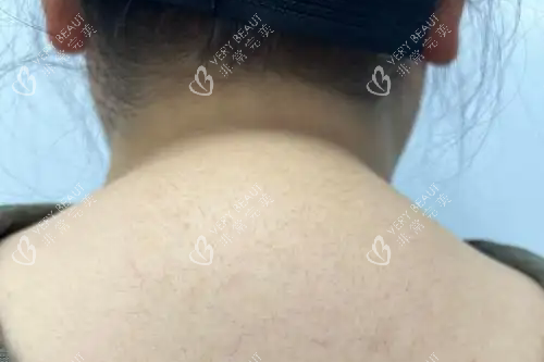富贵包.webp