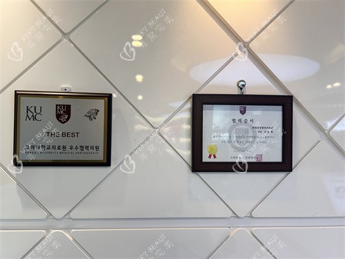 韩国珠儿丽整形外科获奖展示