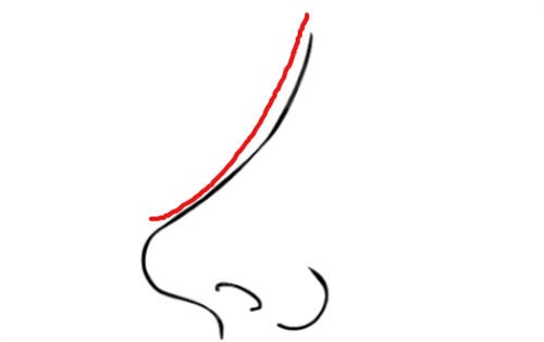 鼻部曲线调整展示图 鼻部曲线调整展示图