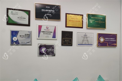 柳大烈医生集团荣誉展示墙 柳大烈医生集团荣誉展示墙