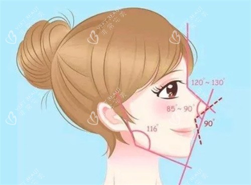 隆鼻的比例 隆鼻的比例