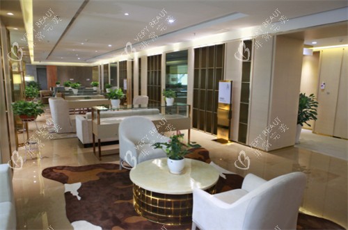 成都华美紫馨休息区一角一览图