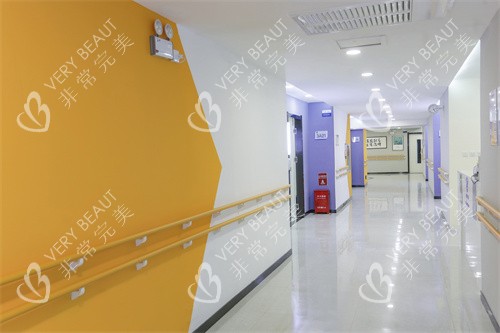邯郸绿植医院走廊 邯郸绿植医院走廊