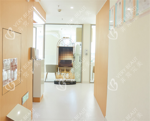 邯郸绿植医院走廊 邯郸绿植医院走廊