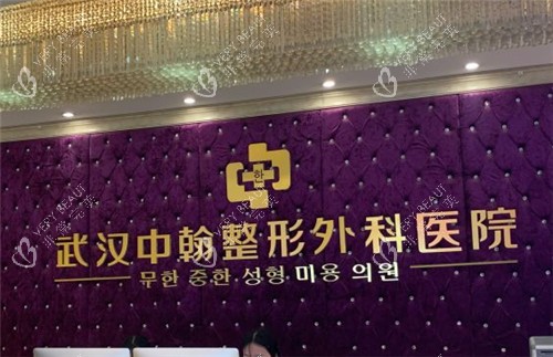 武汉中翰整形logo 武汉中翰整形logo