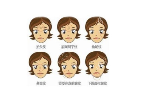 脸上皱纹