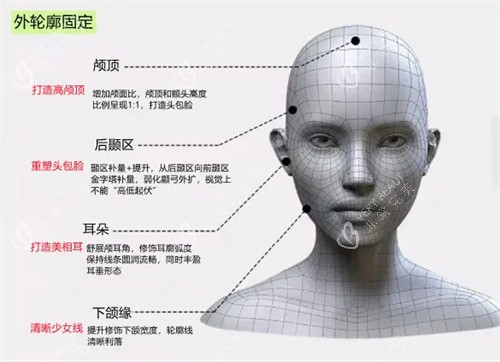 外轮廓固定 外轮廓固定