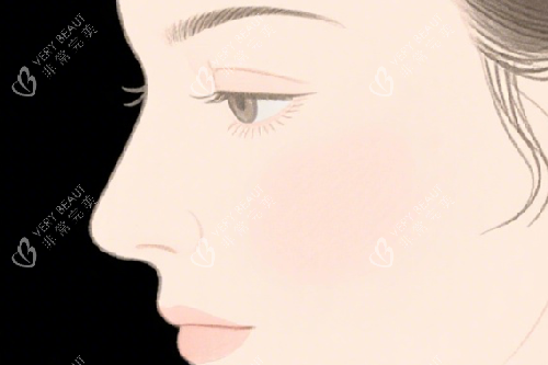 好看的鼻子 好看的鼻子