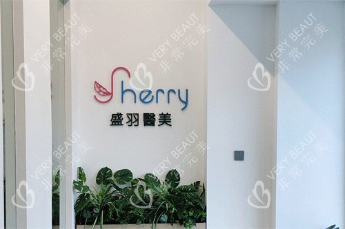 长春盛羽医疗美容logo墙