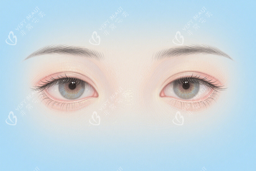 双眼皮图片
