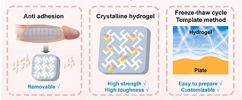 生物补片增大增粗照片