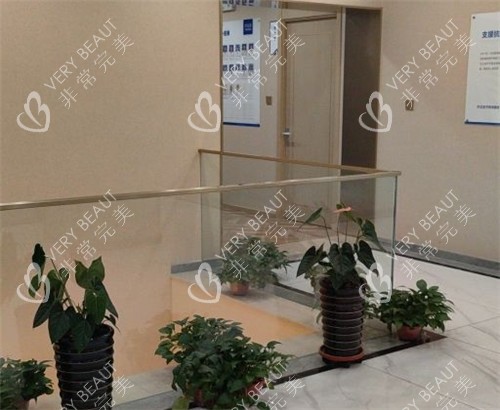 沈陽(yáng)碧蓮盛植發(fā)內(nèi)部環(huán)境