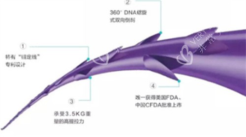 PPDO线示图