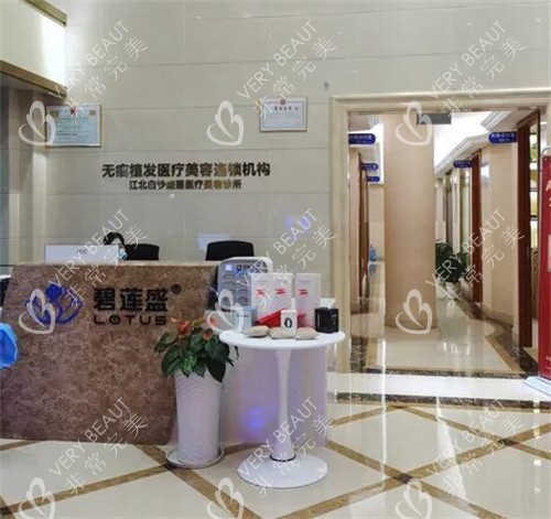 宁波碧莲盛植发照片