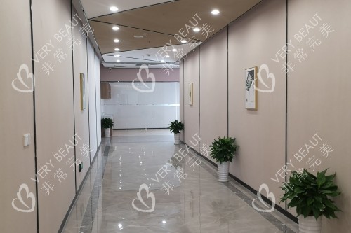 赣州叶子整形走廊