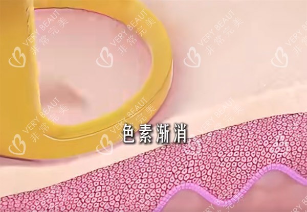 安庆维多利亚整形前台图