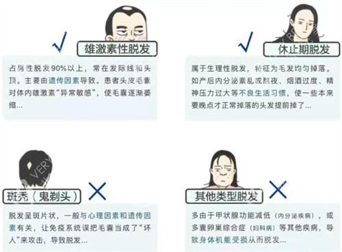 hbw毛囊克隆適應(yīng)人群圖解
