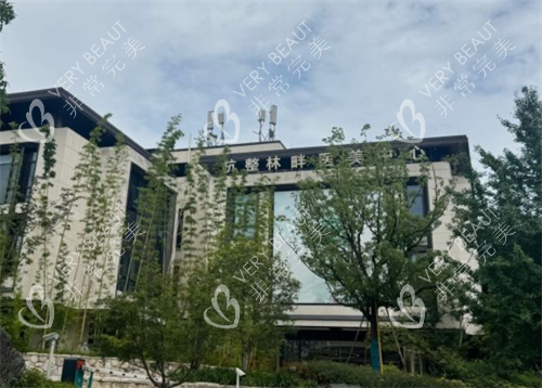 杭州林畔整形大楼图