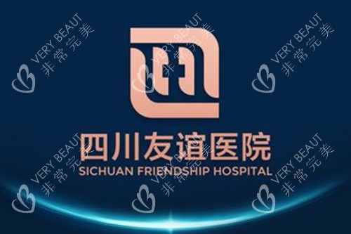 成都友谊整形医院LOGO示意图