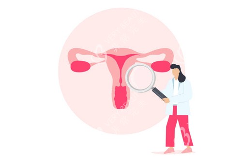 女性私密处卡通图