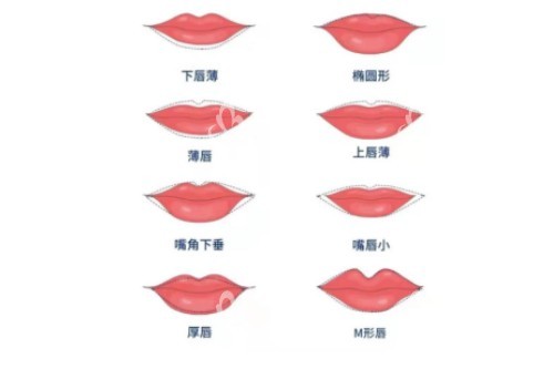 不同唇形卡通图展示