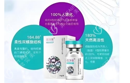 薇旖美胶原蛋白解析图