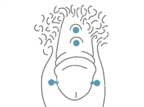 阴茎入珠术后 阴茎入珠术后