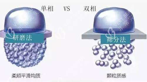 单相和双相玻尿酸对比模型示意图 单相和双相玻尿酸对比模型示意图