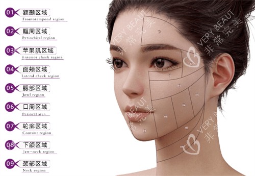 维密金雕治疗部位 维密金雕治疗部位